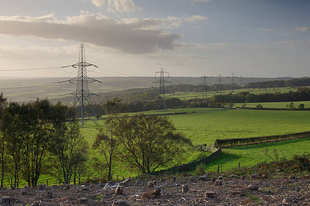 Electric Landscape stock photo