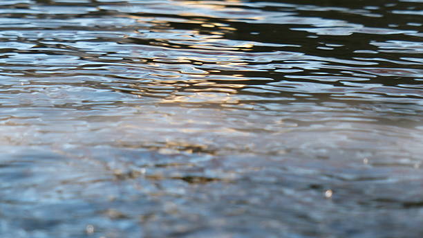 istock Around our pond / Rain, dew and water – Backgrounds..... 516687859