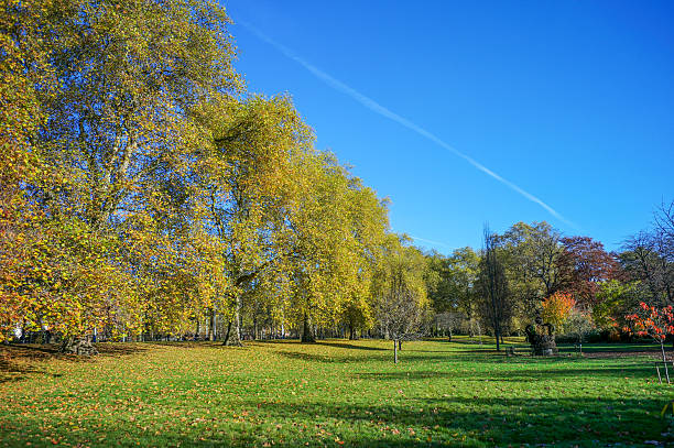 istock Saint james park during fall in london england 516687863