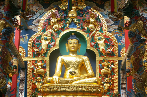 Namdroling monastery is the largest teaching center of the Nyingma lineage of Tibetan Buddhism in the world. Located in Bylakuppe, Mysore district of Karnataka state , India , the monastery is home to thousands of lamas.