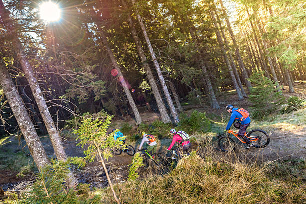 istock People enjoying mountain biking 516691838