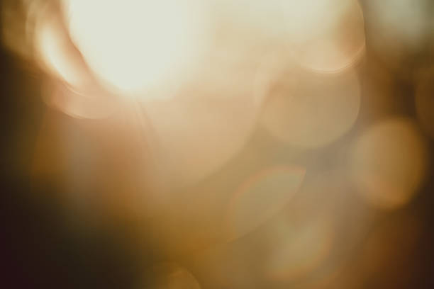 istock Gold desert in sunset, abstract bright blur background 516692676