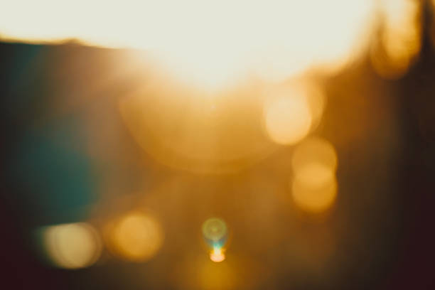 Gold desert in sunset, abstract bright blur background for web design, brown colorful background, blurred. shallow DOF