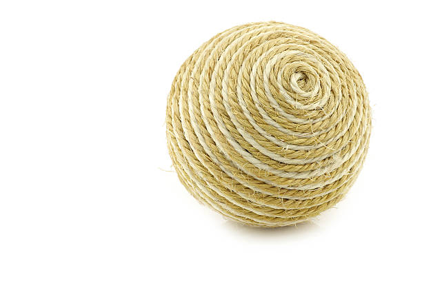 istock dog toy ball 516694604