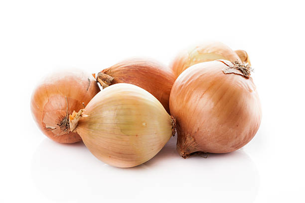 istock onion bulbs isolated on white background. Fresh golden onions 516694890