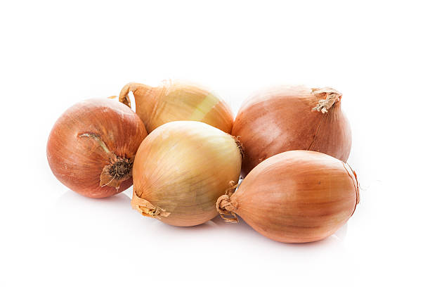 istock onion bulbs isolated on white background. Fresh golden onions 516694928
