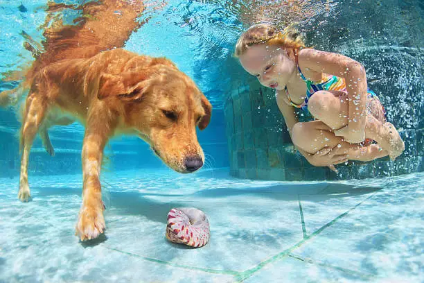 Photo of Child with dog dive underwater in swimming pool