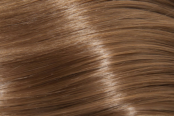brązowe długie proste włosy - hair care human hair care nature zdjęcia i obrazy z banku zdjęć