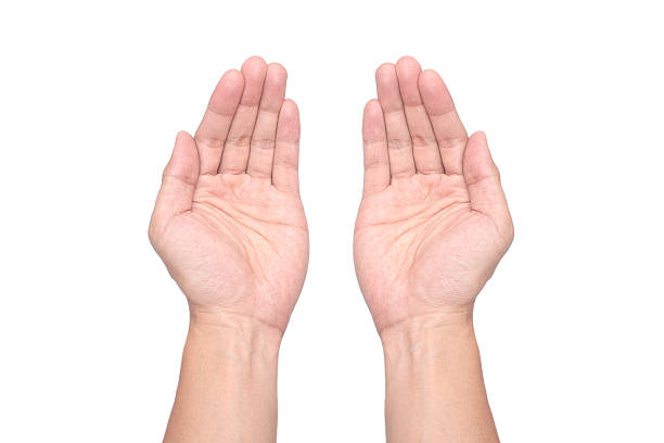 Male hands palms held subject isolated stock photo