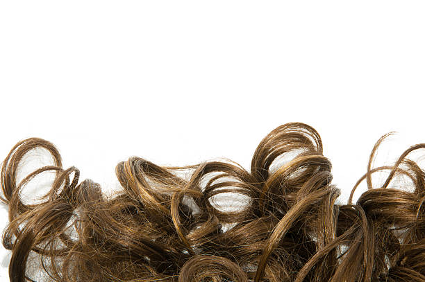 istock Curly brown hair over white background 516718054