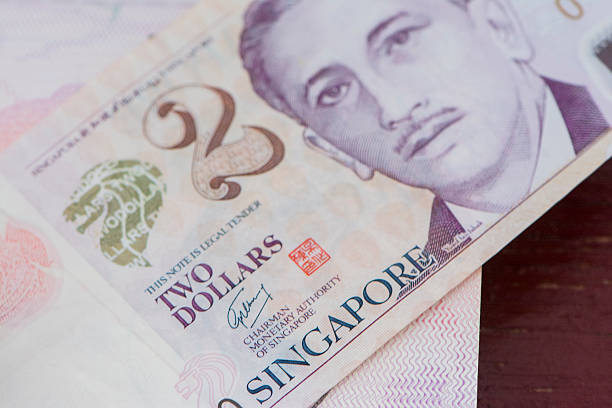 istock Singapore Passport Stamp 516718074