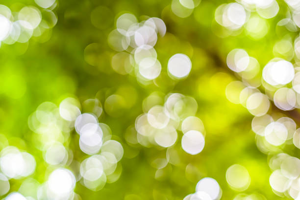 istock Green natural twinkling lights bokeh background 516719530