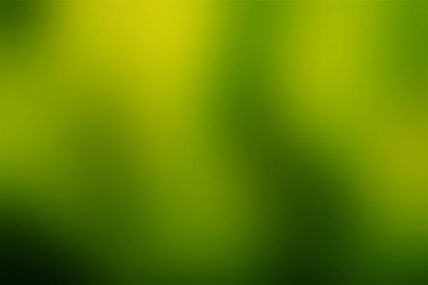 istock Grungy de-focused background for overlay use 516720172