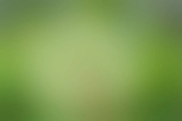 istock Grungy de-focused background for overlay use 516720240