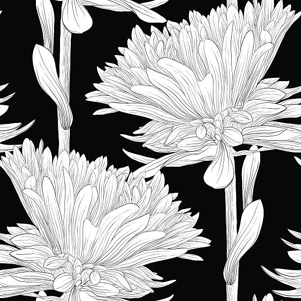 ilustraciones, imágenes clip art, dibujos animados e iconos de stock de hermosa, en blanco y negro monocromo fondo sin costuras con flores áster. - chrysanthemum single flower flower textile