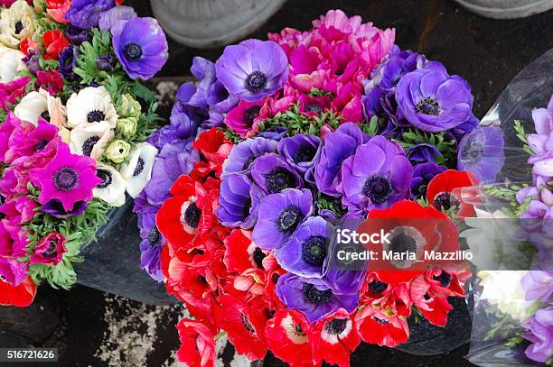 Anemone Bouquet Stock Photo - Download Image Now - Anemone Flower, Arrangement, Beauty In Nature