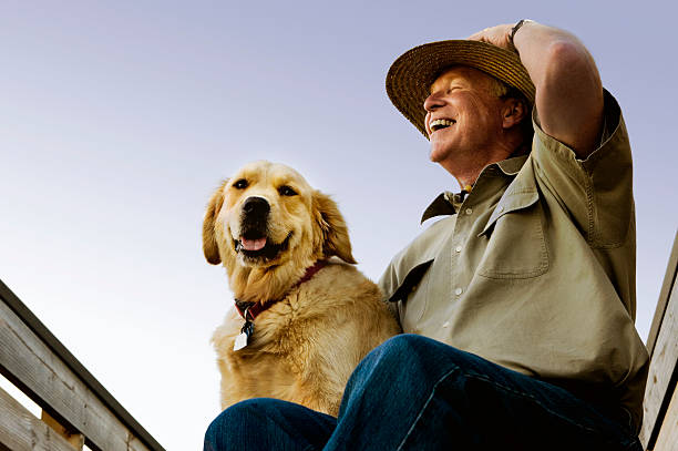 homem e cão - dog walking retriever golden retriever imagens e fotografias de stock