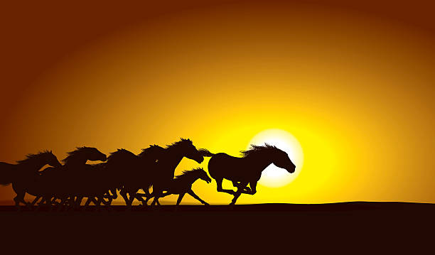 Horse Stampede Sunset Background Silhouette illustration of a Horse Stampede Sunset Background. Check out my "Farming" light box for more. stampeding stock illustrations