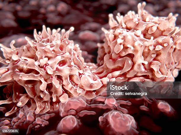 Dividing Stem Cells Stock Photo - Download Image Now - Transplant Surgery, Stem Cell, Bone Marrow Tissue
