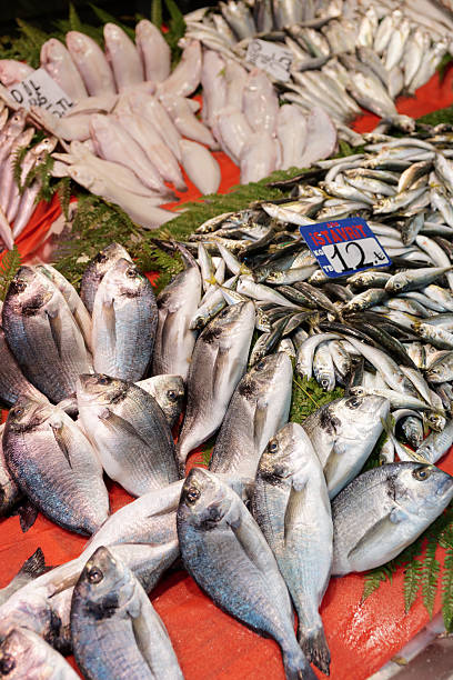 istock Street fish market in Istanbul 516725765