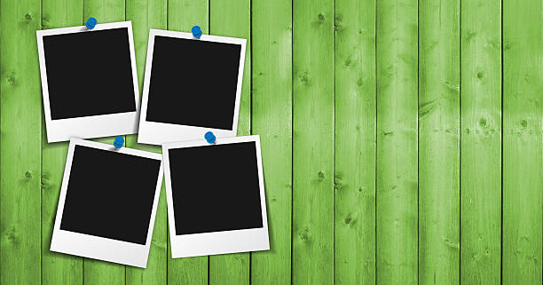 Blank Photo Frame On Green Wood Four blank photo frames with push pin, shadow and empty space for your photograph, picture and copy on green wooden grunge background. four objects photos stock pictures, royalty-free photos & images