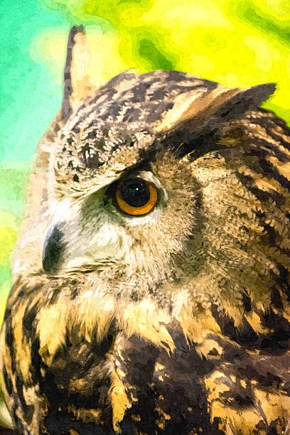 istock Brown Owl watching something, Clip art 516726767