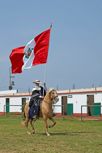 Trujillo, Peru - September 1, 2014: Man riding a Peruvian Paso horse and carrying large flag of Peru on a long pole in Trujillo, Peru. The Paso horse is descended from those brought to Peru during the Spanish Colonial era and is known for its smooth gait.