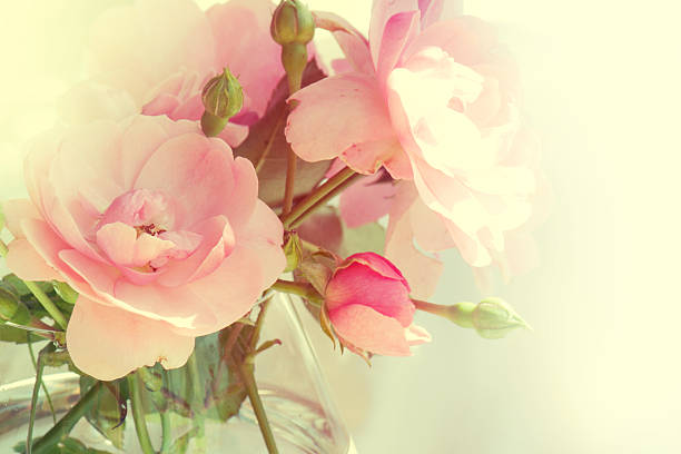 istock Beautiful Roses in a glass vase. 516729291