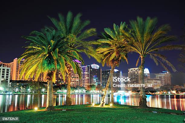Orlando Night Scene Stock Photo - Download Image Now - Architecture, Cityscape, Coconut Palm Tree