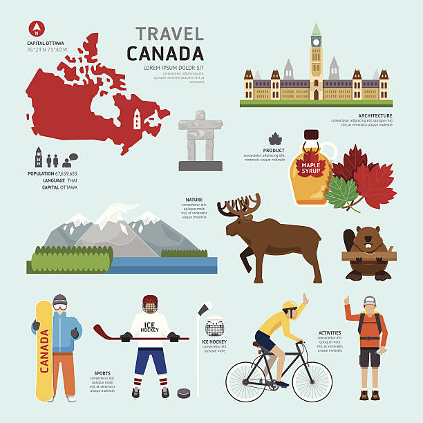 ilustrações de stock, clip art, desenhos animados e ícones de conceito de viagem canadá ícones plana design .vector de referência - maple tree illustrations