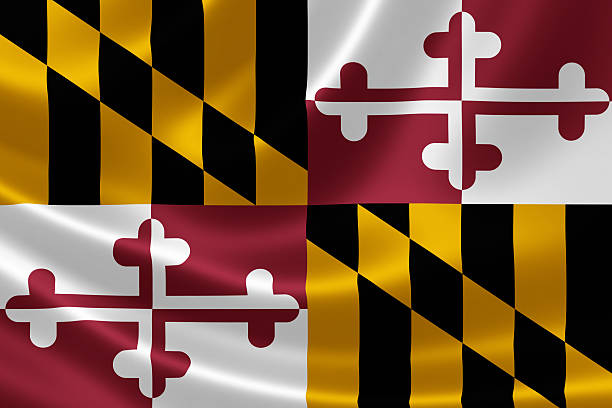 flaga stanowa maryland - maryland flag state maryland state flag zdjęcia i obrazy z banku zdjęć