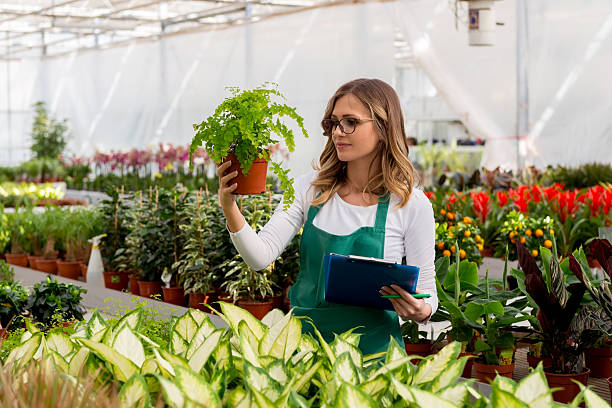 istock Taking care of plants 516758828