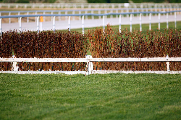 istock Fence as obstacle for racehorses on race course 516760704