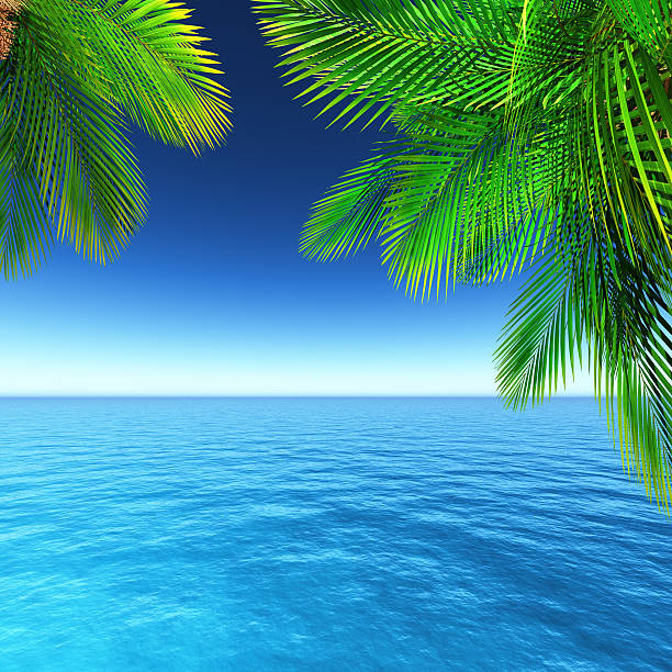 istock 3D tropical landscape with palm trees and ocean 516762786