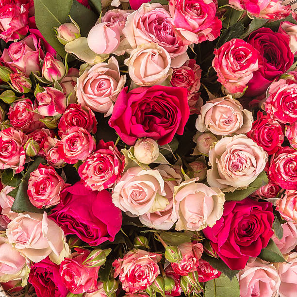 istock Bunch of flowers 516764598