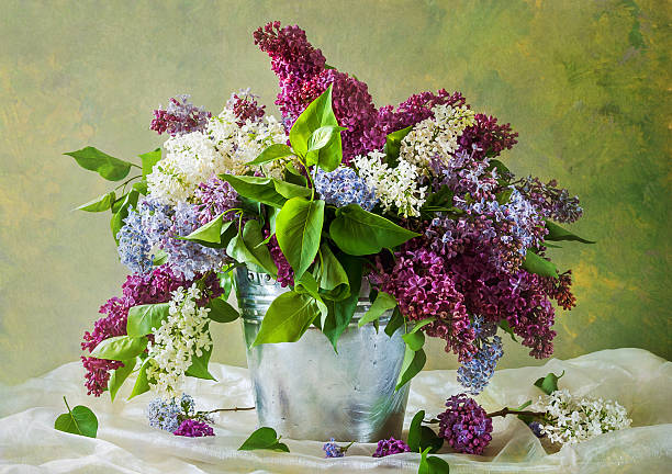 istock Still Life bouquet lilacs 516764786