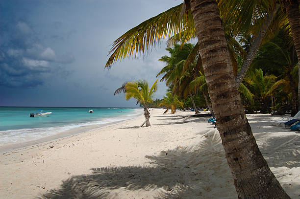 istock Beach beds under coconut palm with an ocean view 516765378