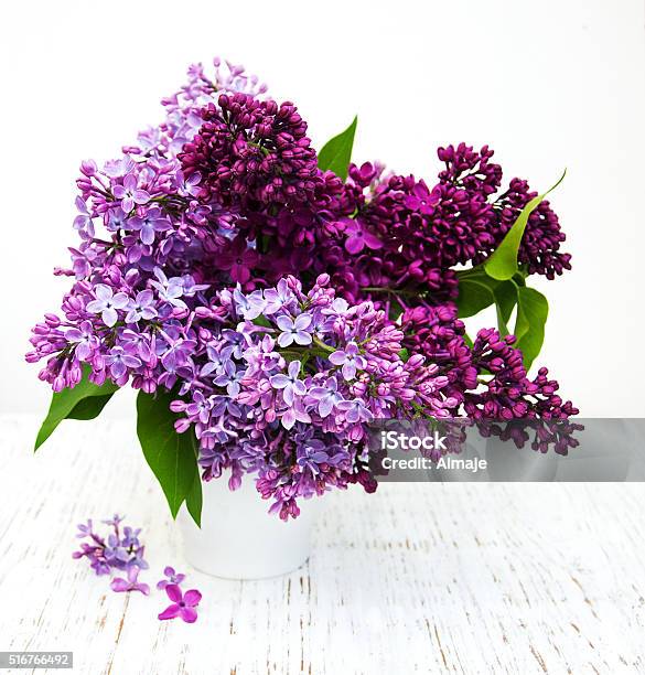 Lilac Flowers Stock Photo - Download Image Now - Lilac, Arrangement, Beauty In Nature