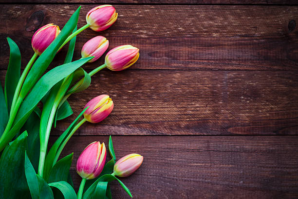 istock Art abstract background spring tulips wooden design 516766618