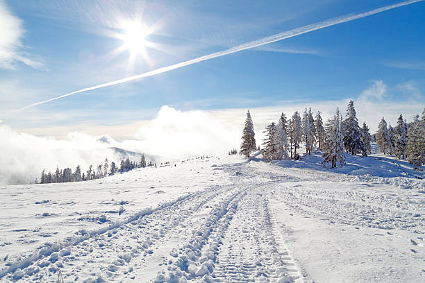 istock Beautiful winter landscape 516767156