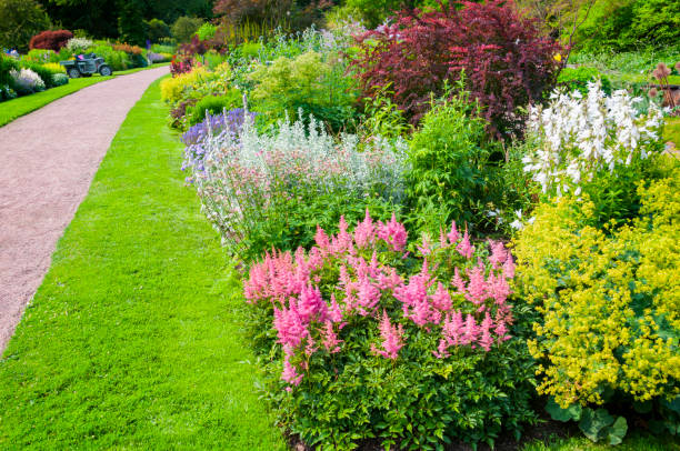 istock Colorful lavish flowerbeds 516767848