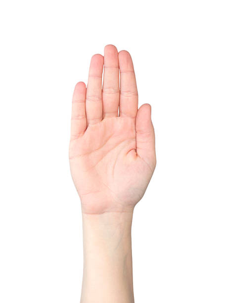 istock Stop signal made by a hand 516769120