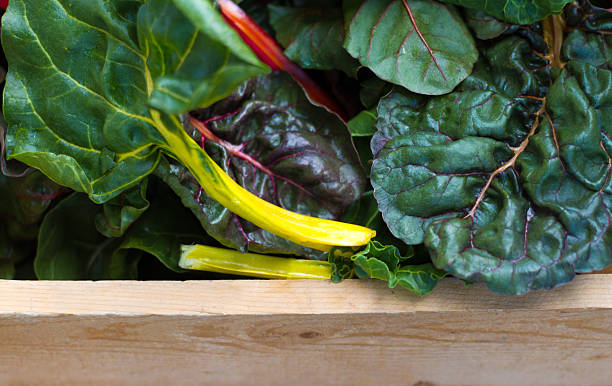 istock Vibrant Swiss Chard in Wood Crate (Close-Up) 516770130