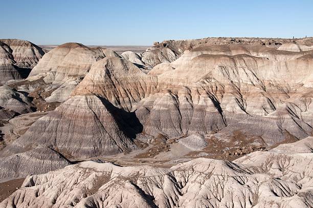 istock Blue Mesa Petrified Forest Arizona 516770766