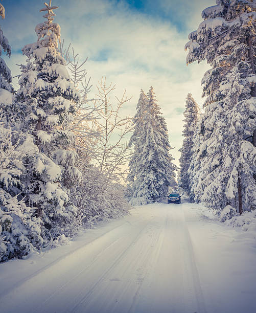 istock Traveling by car in snowy forest 516779883