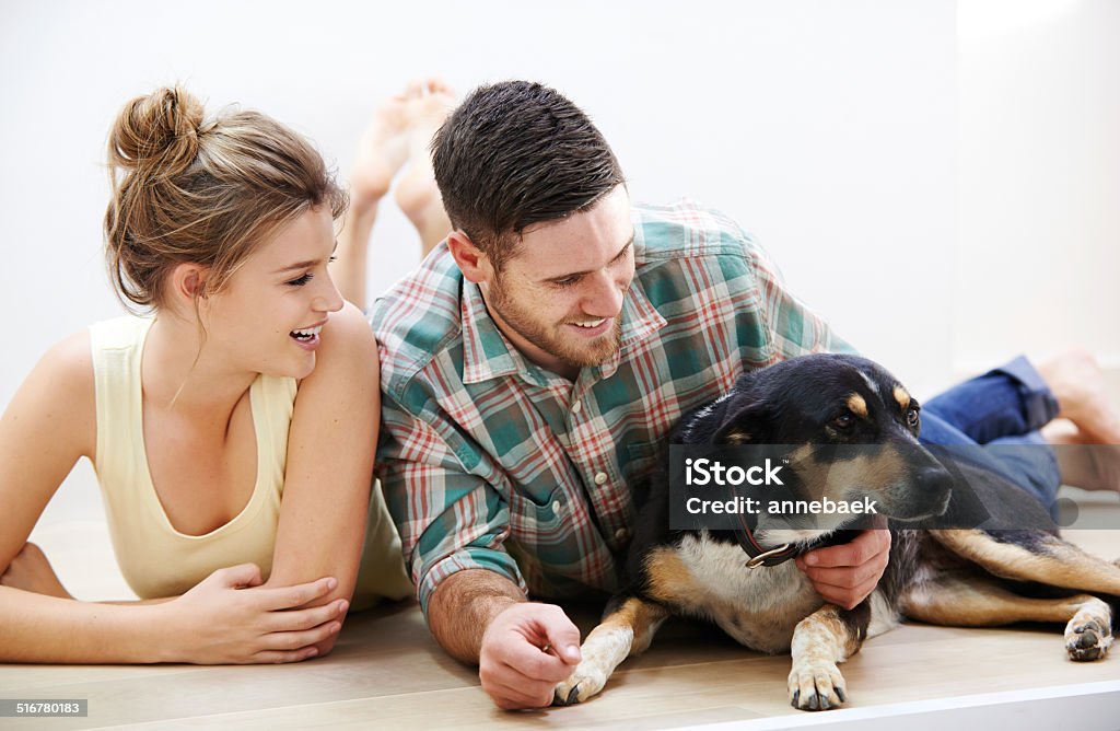 Hes A Couples Best Friend Stock Photo - Download Image Now - Adult,  Affectionate, Animal - iStock
