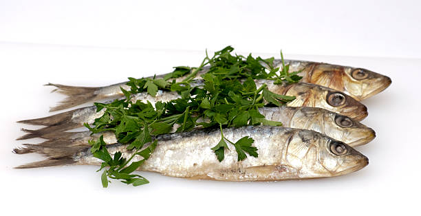 istock Fresh sardines with parsley leaves 516781399