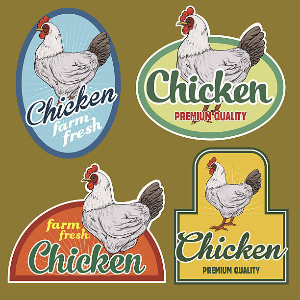Chicken meat vintage labels set for using in different spheres