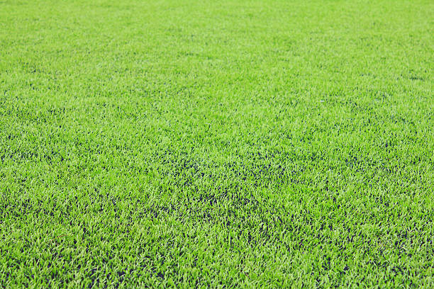 istock green synthetic grass sports field 516783185