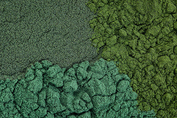 chlorella, spirulina and blue-green background of chlorella, spirulina and blue-green sea algae supplement powder chlorella stock pictures, royalty-free photos & images